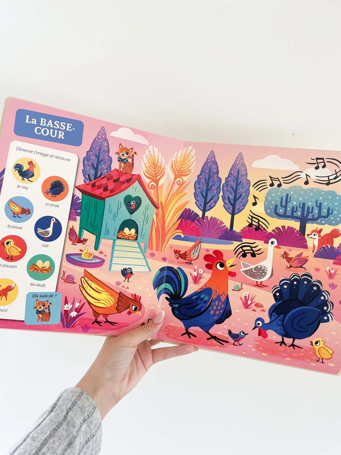 Livre cherche et trouve des tout petits dès 1 an - A la ferme. Page intérieur du livre la basse cour avec coq.