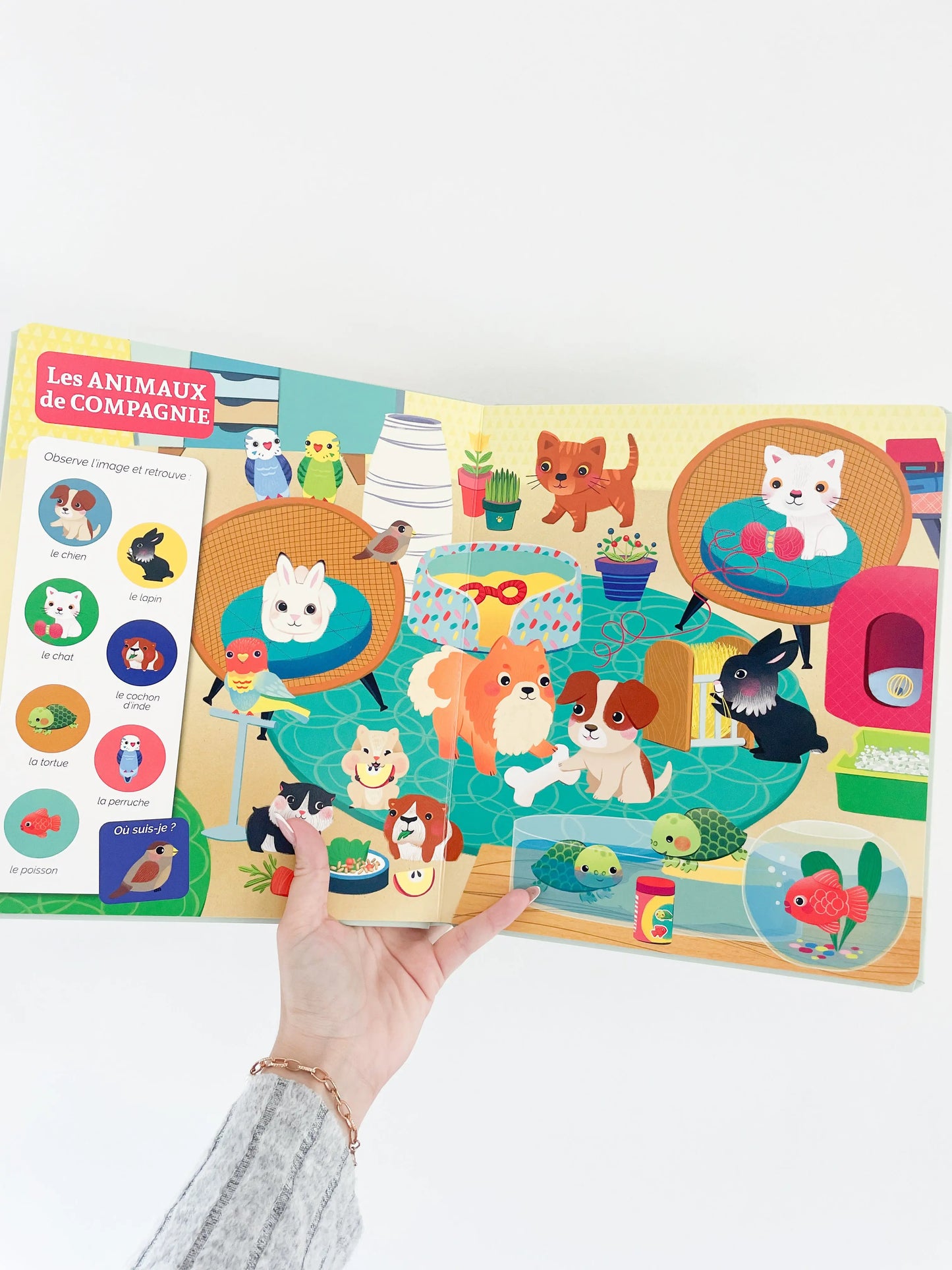Livre cherche et trouve des tout petits - Chez les animaux. Page intérieur du livre animaux de compagnie dès 1 an.