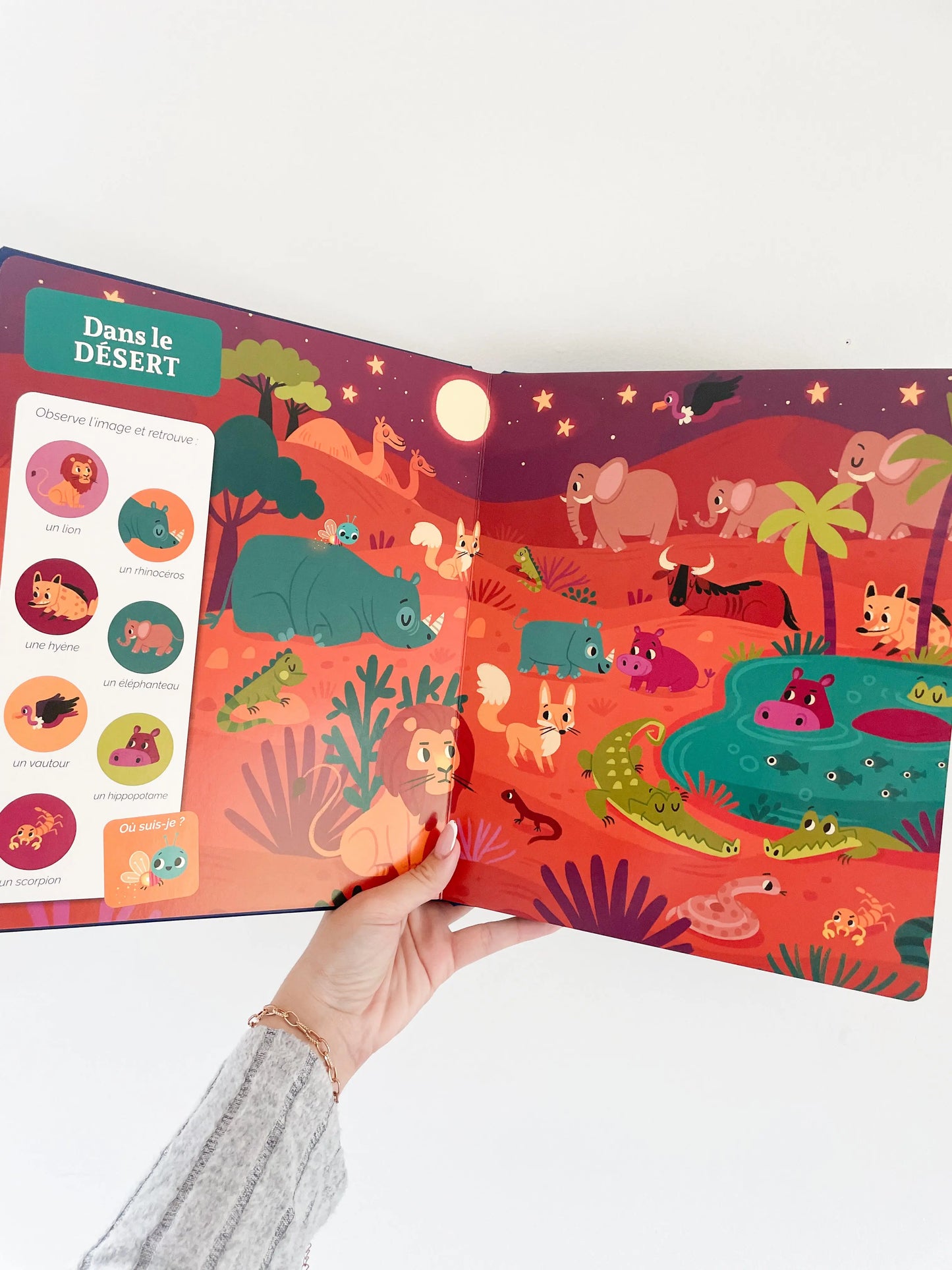 Livre dès 12 mois, Cherche et trouve des tout petits - Qui brille dans la nuit. Page intérieur du livre dans la désert avec des éléments, lion, éléphant..