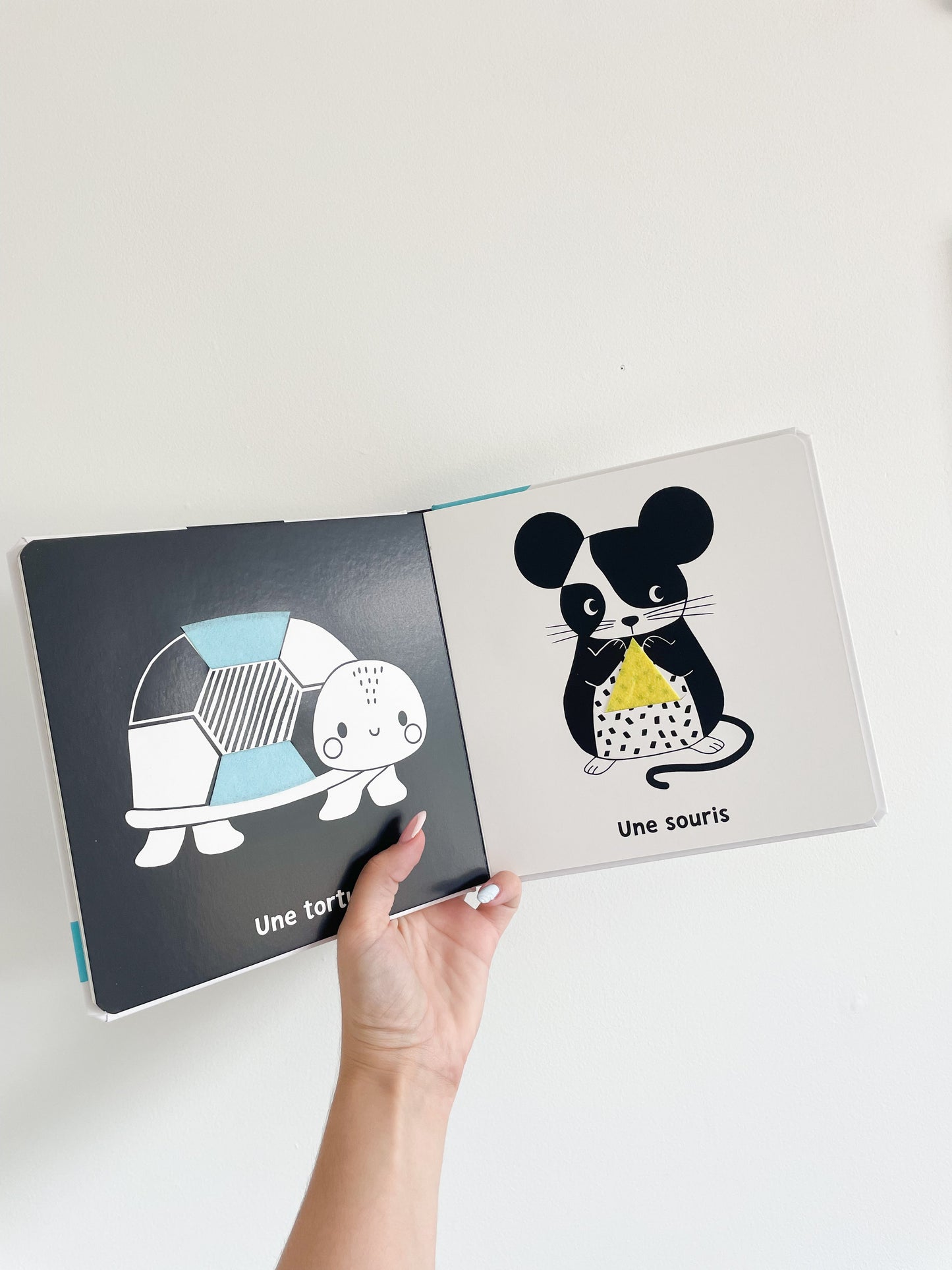 Mes premiers flaps - Animaux de compagnie - Livre noir et blanc bébé L'univers magique