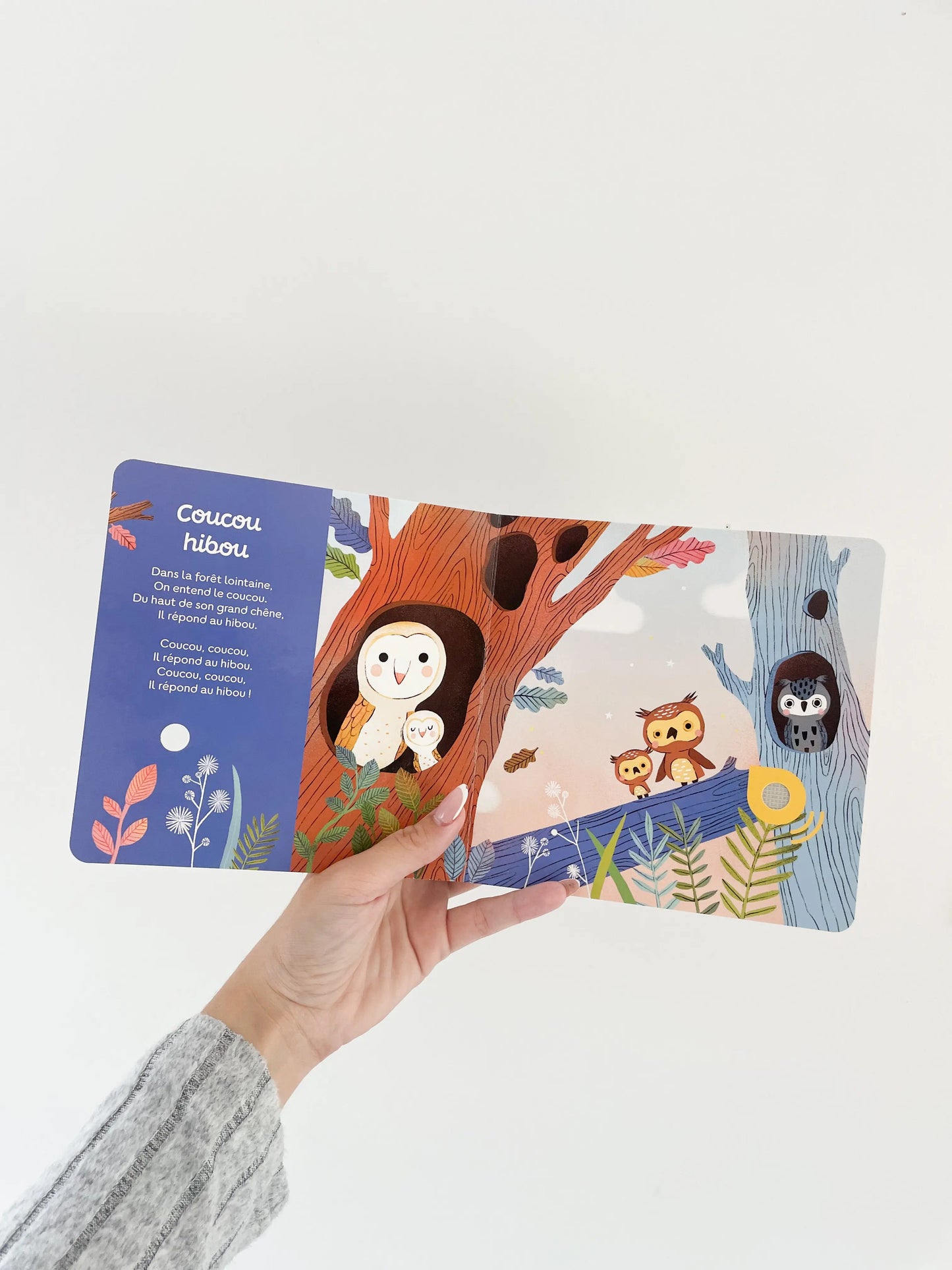 Livre sonore - Mes premières berceuses pour bébé. Livre musical, page intérieur, coucou hibou.