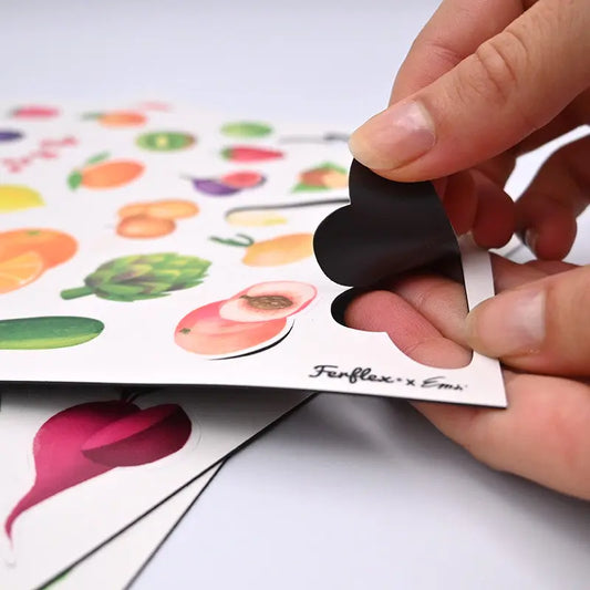 Jeu magnétique - fruits et légumes L'univers magique